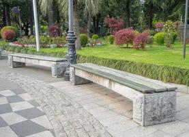 schöne Parklandschaft in der Stadt. schöne Pflanzen im Park. touristischer Spaziergang. Bäume um Gebäude. Architektur und Natur foto