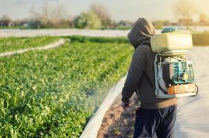 Ein Bauer mit einem Sprühgerät behandelt eine Kartoffelplantage mit einem Schädlings- und Pilzmittel. wirksamer Pflanzenschutz, Auswirkungen auf die Umwelt. Schutz von Kulturpflanzen vor Insekten- und Pilzinfektionen foto