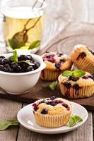 Muffins mit schwarzer Johannisbeere foto