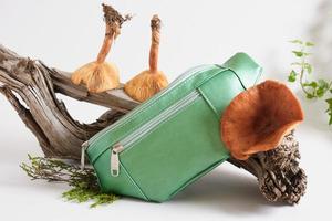 Grüne Gürteltasche aus Eco-Leder auf Haken, veganes Leder von Mushroom Mycelium Concept foto