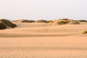 Landschaft auf den Kanarischen Inseln foto