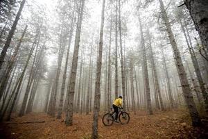 junger mann, der durch den herbstwald radelt foto