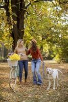 zwei freundinnen, die mit hund und fahrrad im gelben herbstpark spazieren gehen foto