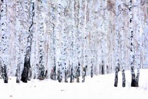 Birkenwald im Winter, Stilisierung der Ölfarbe foto