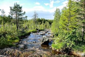 Landschaft in Schweden, Europa foto