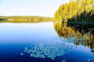 Landschaft in Schweden, Europa foto