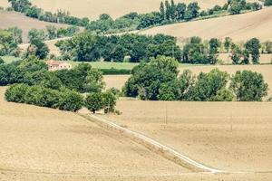 Landschaft im Sommer foto