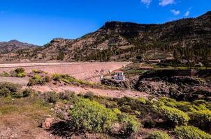 Landschaft im Sommer foto