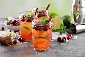 erfrischender wintercocktail mit limette und cranberry foto