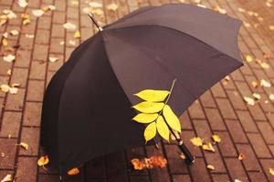 Regenschirm mit einem Herbstblatt in der Gasse im Park foto