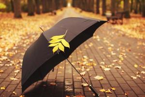 Regenschirm mit einem Herbstblatt in der Gasse im Park foto