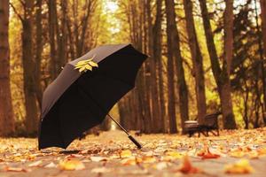 Regenschirm mit einem Herbstblatt in der Gasse im Park foto