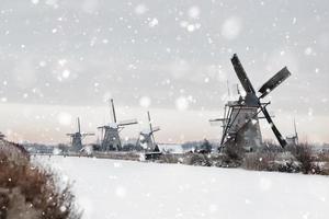 windmühlen in kinderdijk, niederlande im winter foto