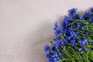 Schöner blauer Blumenstrauß auf rosafarbenem Hintergrund, Kornblumenstrauß mit freiem Kopierplatz für Text, Draufsicht, flache Lage, Bild für Tapete, Poster, Coverdesign, Einladung, Grußkarte, Postkarte foto