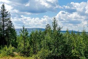 Landschaft in Schweden, Europa foto