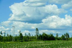 Landschaft in Schweden, Europa foto