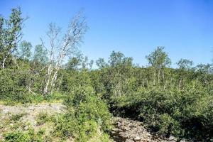 Landschaft in Schweden, Europa foto