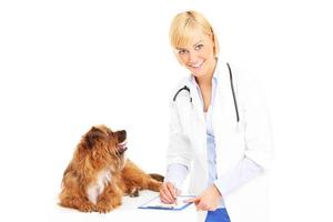 Hund und Tierarzt foto