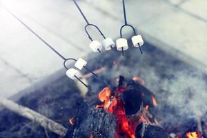 gruppe von freunden, die marshmallow am lagerfeuer zubereiten foto