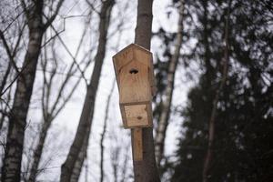 Vogelhäuschen am Baum. eine Futterstelle, die an einem Baumstamm befestigt ist. Vogelhaus zum Überwintern von gefiederten Kreaturen. foto