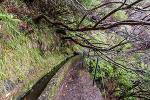 2022 08 17 Madeira Levada 1 foto