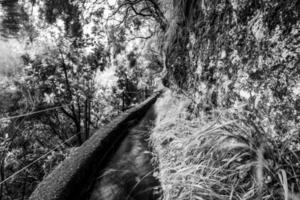 2022 08 17 Madeira Levada 14 foto