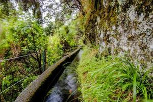 2022 08 17 Madeira Levada 15 foto