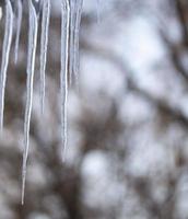 glitzernde Eiszapfen hängen an einem verschneiten Tag am Sims. Foto. Makro foto