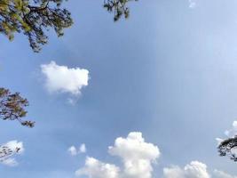 grüne Bäume und ein bewölkter blauer Himmel foto