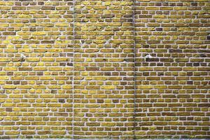 Detailansicht einer farbenfrohen alten und verwitterten Mauerstruktur als Panoramahintergrund. foto