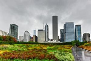 blick auf die skyline von chicago vom lurie garden foto