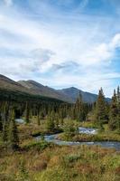 Naturlandschaft in Alaska foto