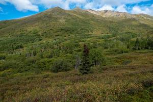 Naturlandschaft in Alaska foto