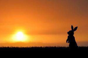 Frohes neues Jahr 2023 Hintergrundbild. tapete frohes neues jahr 2023. kaninchen wartet an einem neuen morgen auf die sonne. foto