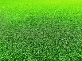grünes Gras Textur Hintergrund Gras Gartenkonzept verwendet für die Herstellung von grünen Hintergrund Fußballplatz, Gras Golf, grünen Rasen Muster strukturierten Hintergrund. foto