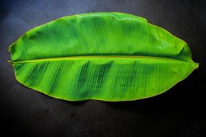 frisches bananengrünes blatt lokalisiert auf schwarzem hintergrund foto