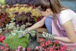 junge Frau in einer Gärtnerei, die eine Blumenpflanze in ihren Händen hält, während sie auf dem Gehweg zwischen Pflanzen kniet. foto