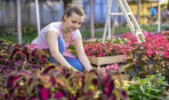 junge Frau in einer Gärtnerei, die eine Blumenpflanze in ihren Händen hält, während sie auf dem Gehweg zwischen Pflanzen kniet. foto