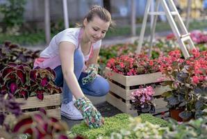 junge Frau in einer Gärtnerei, die eine Blumenpflanze in ihren Händen hält, während sie auf dem Gehweg zwischen Pflanzen kniet. foto