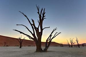 Totes Vlei, Namibia foto