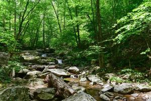 Wasserfälle entlang eines Wanderwegs im Shenandoah-Tal und Blue Ridge Mountains aus dem Shenandoah-Nationalpark, Virginia foto