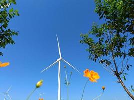einzelne nette windmühlenfarm an einem schönen hellen tag in khao kho, phetchabun foto