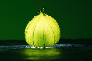 Physalis auf schwarzem nassem Boden mit grünem Hintergrund. beleuchtetes Obst. Vitamin C foto