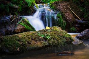 ein Waldbach, der mit einer Langzeitbelichtung aufgenommen wurde. foto