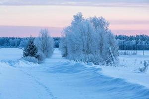 Winterlandschaften in Estland foto