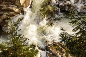 Gebirgsfluss in einem wunderschönen wintergrünen Nadelwald an den Hängen der Berge foto