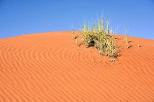 Wüstenlandschaft - Namibrand, Namibia foto