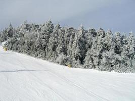 schneebedeckte Wanderwege in einem Winterskigebiet in Vermont foto