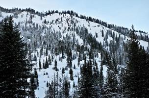 frische verschneite landschaft über grauen fluss in wyoming, usa während des winters. foto