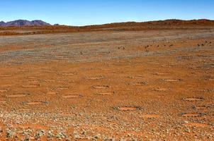 Feenkreise - Namibia foto